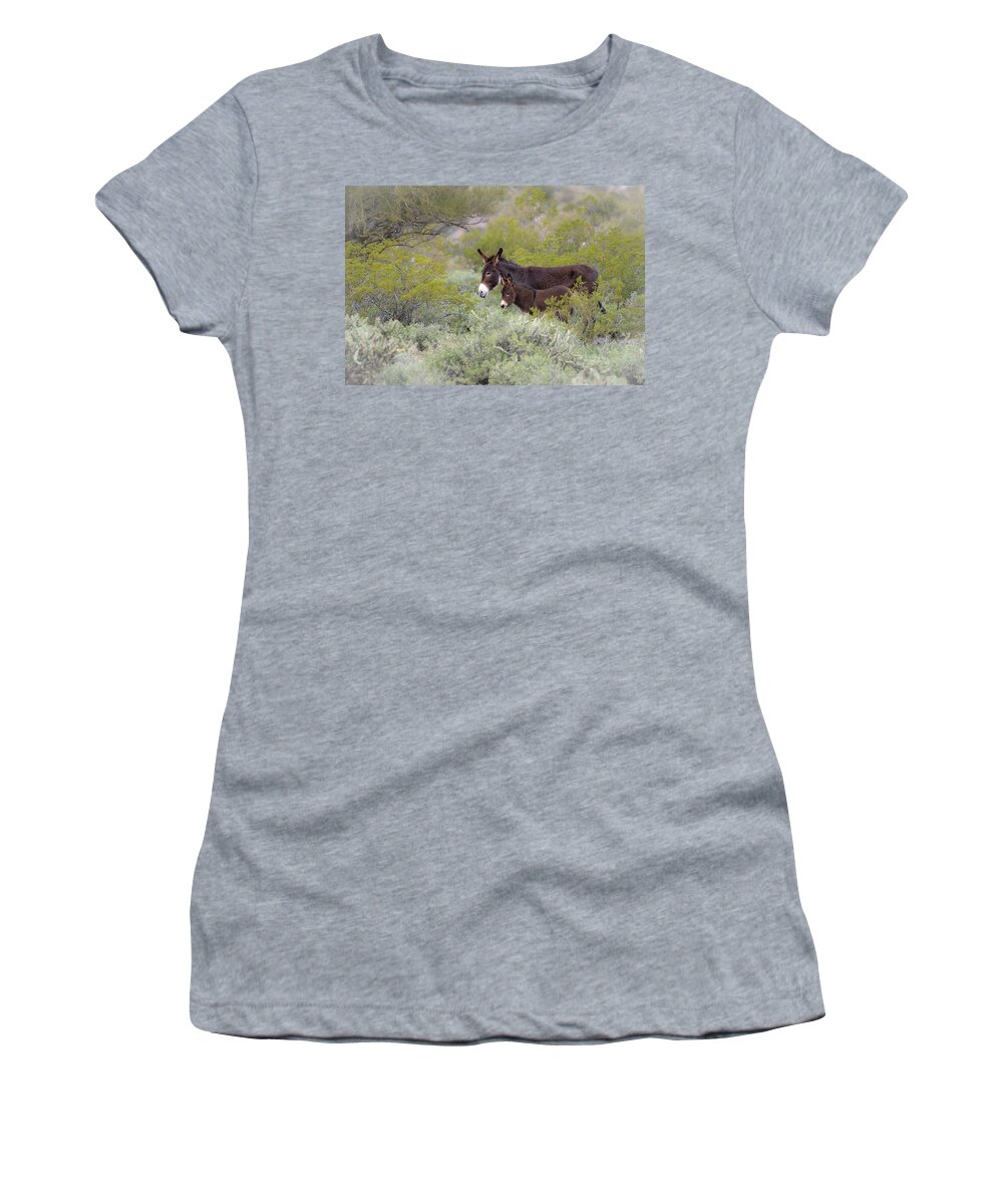 Wild Burro Women's T-Shirt featuring the photograph Surrounded by Mary Hone