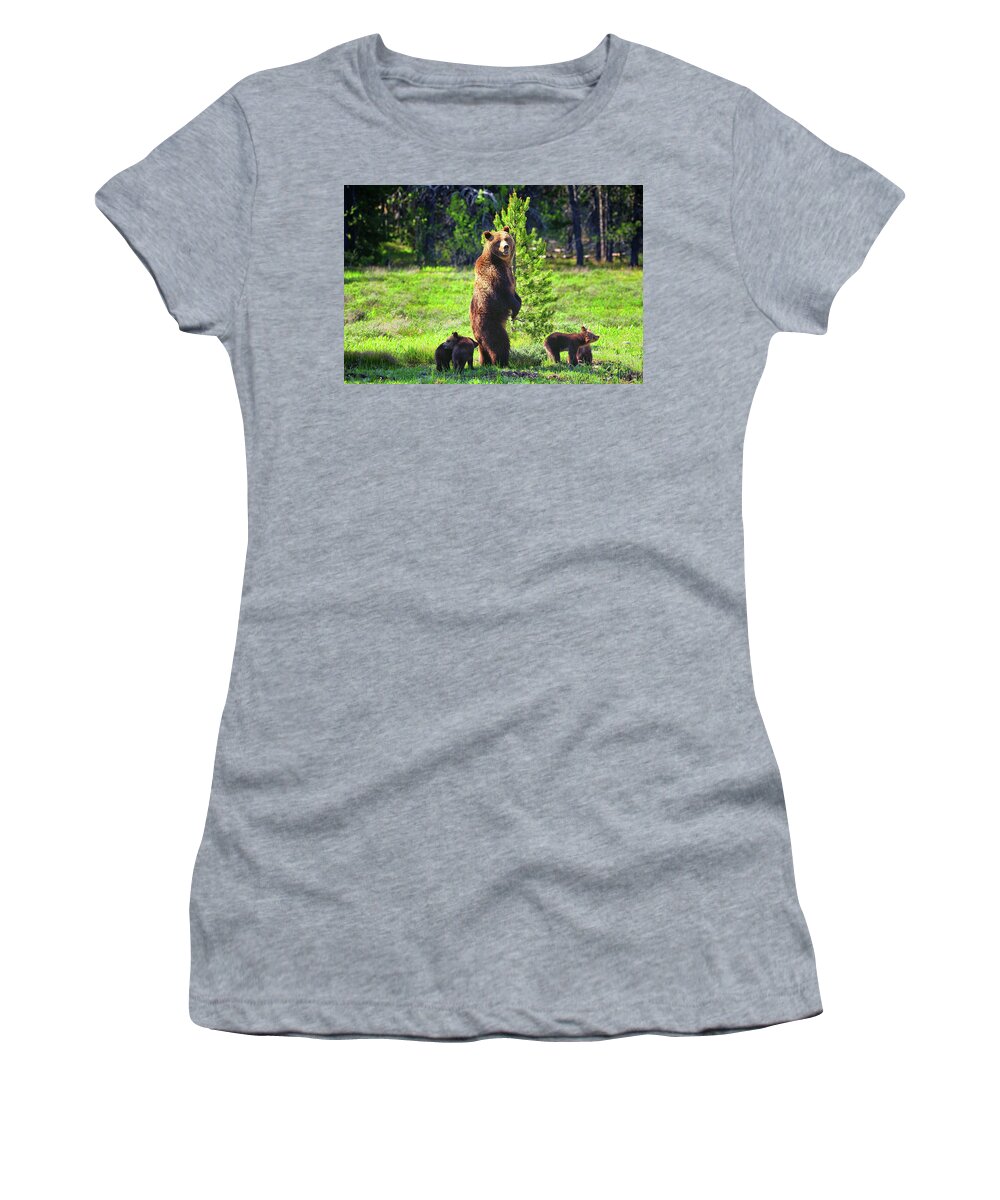 Grizzly 399 Women's T-Shirt featuring the photograph Survey the Surroundings by Greg Norrell