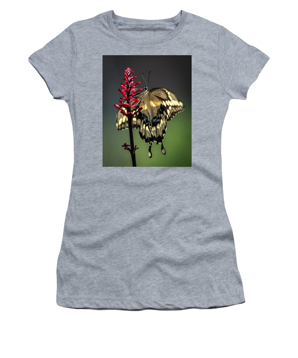 Butterfly Women's T-Shirt featuring the photograph Swallowtail in the Summer by Laura Hedien