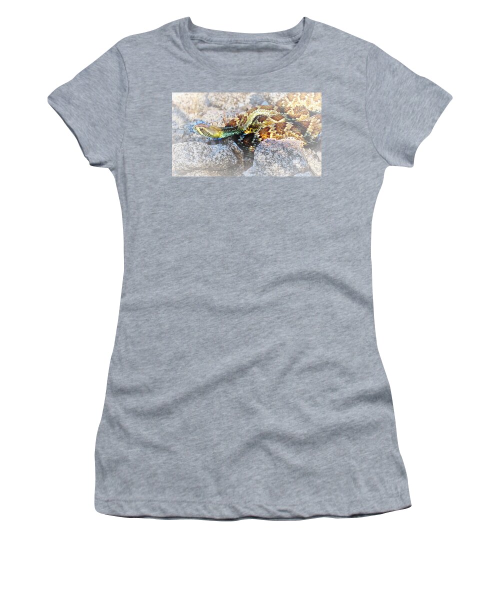 Affordable Women's T-Shirt featuring the photograph Sweet Honey in the Rock by Judy Kennedy