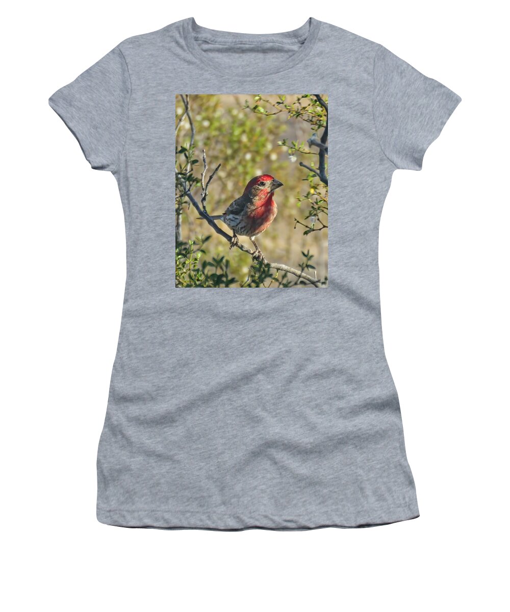 Southwestern Art Women's T-Shirt featuring the photograph Sweet Sun Up by Judy Kennedy