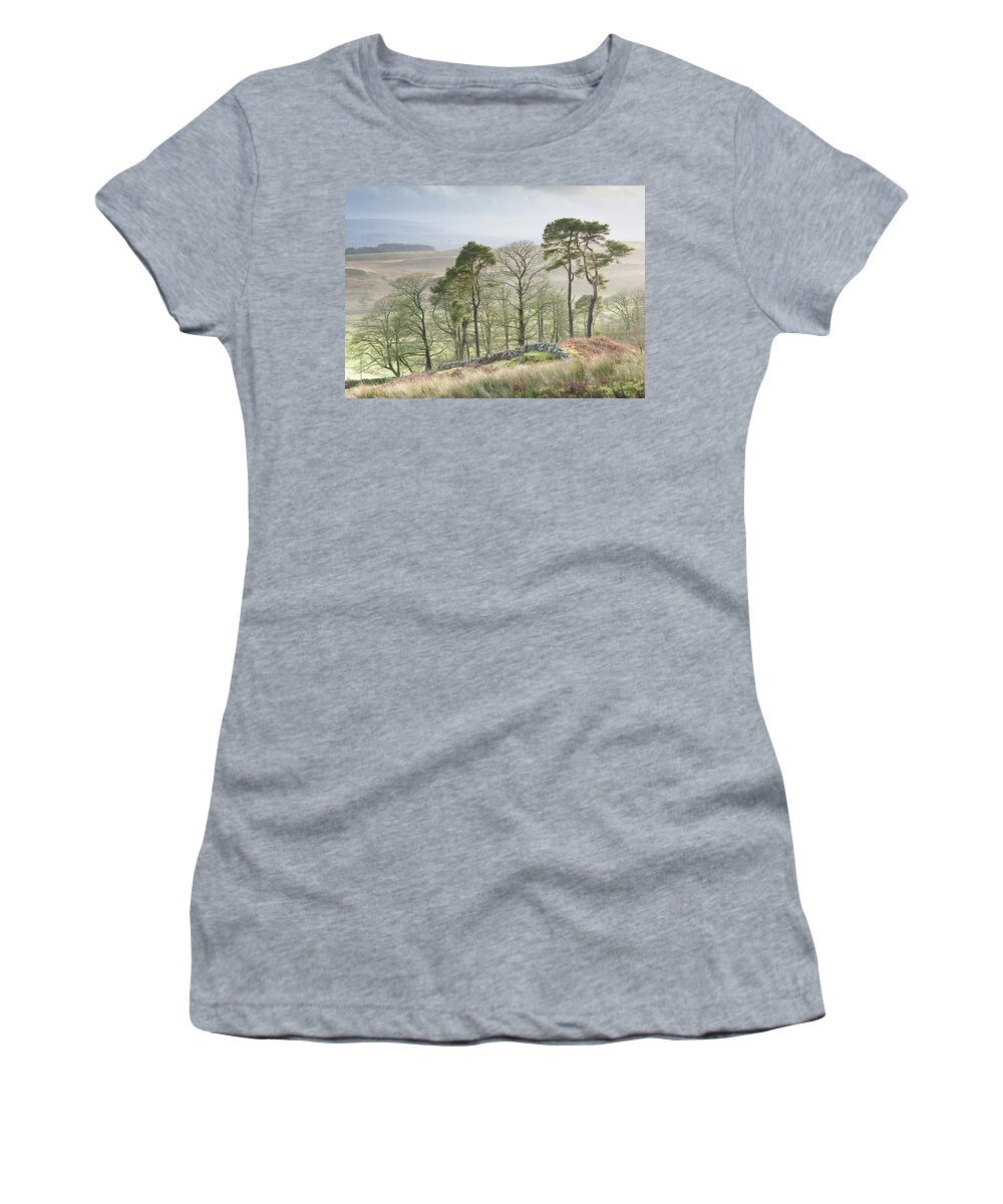 Stand Of Trees Women's T-Shirt featuring the photograph Take a Stand by Anita Nicholson