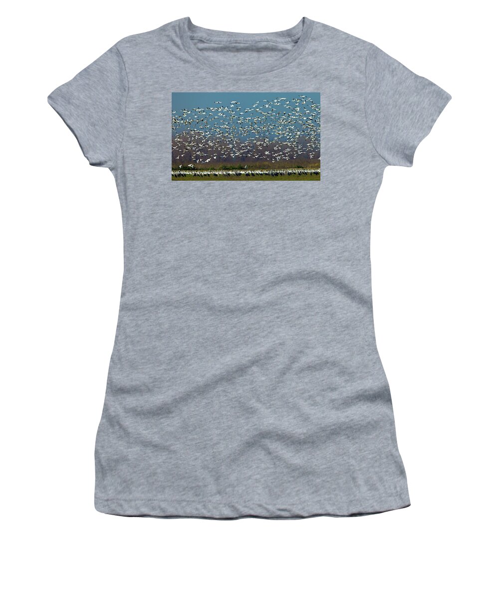 Geese Women's T-Shirt featuring the photograph Take Off by Floyd Hopper