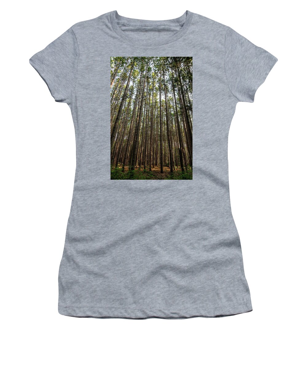 Trees Women's T-Shirt featuring the photograph Tall Red Pine Forest by Dale Kincaid