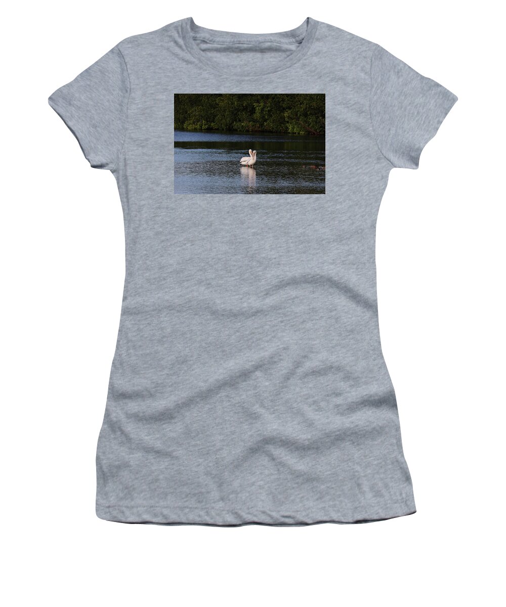 Bird Women's T-Shirt featuring the photograph Tender Love by Mingming Jiang