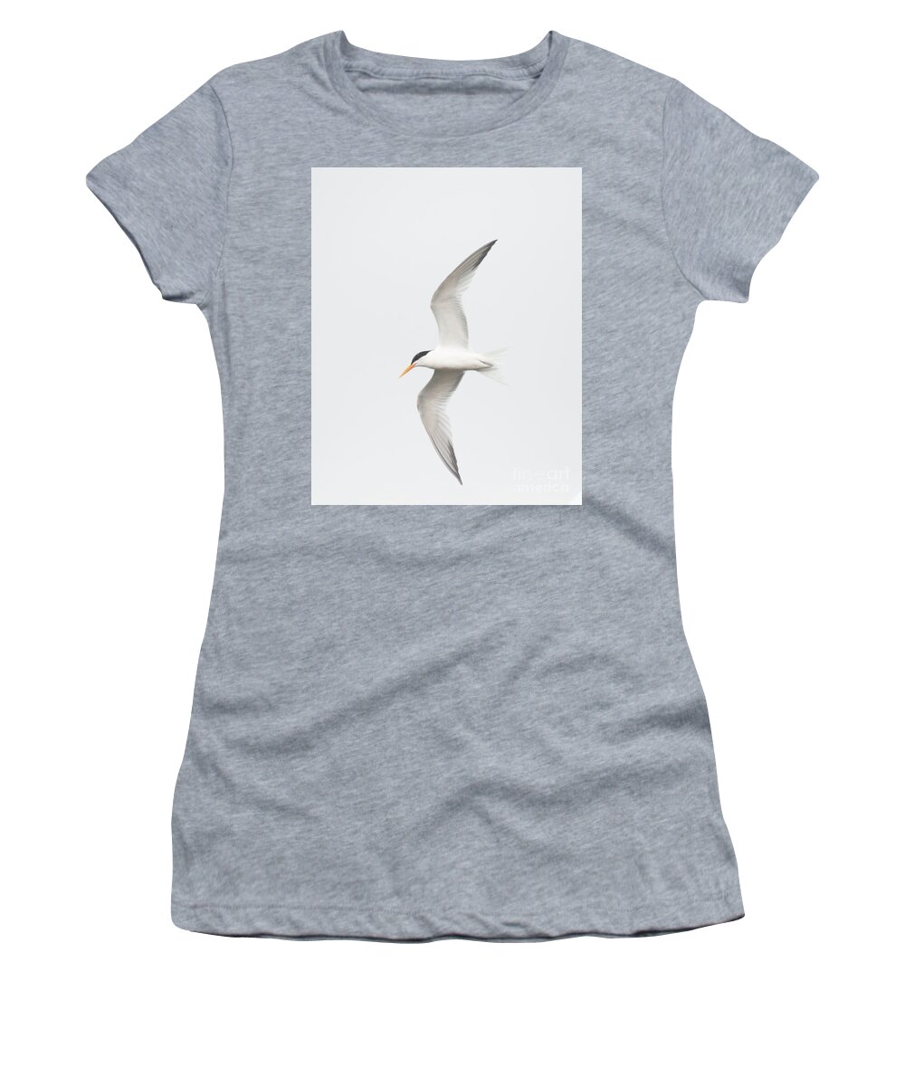 Tern Women's T-Shirt featuring the photograph Tern in the California skies by Ruth Jolly
