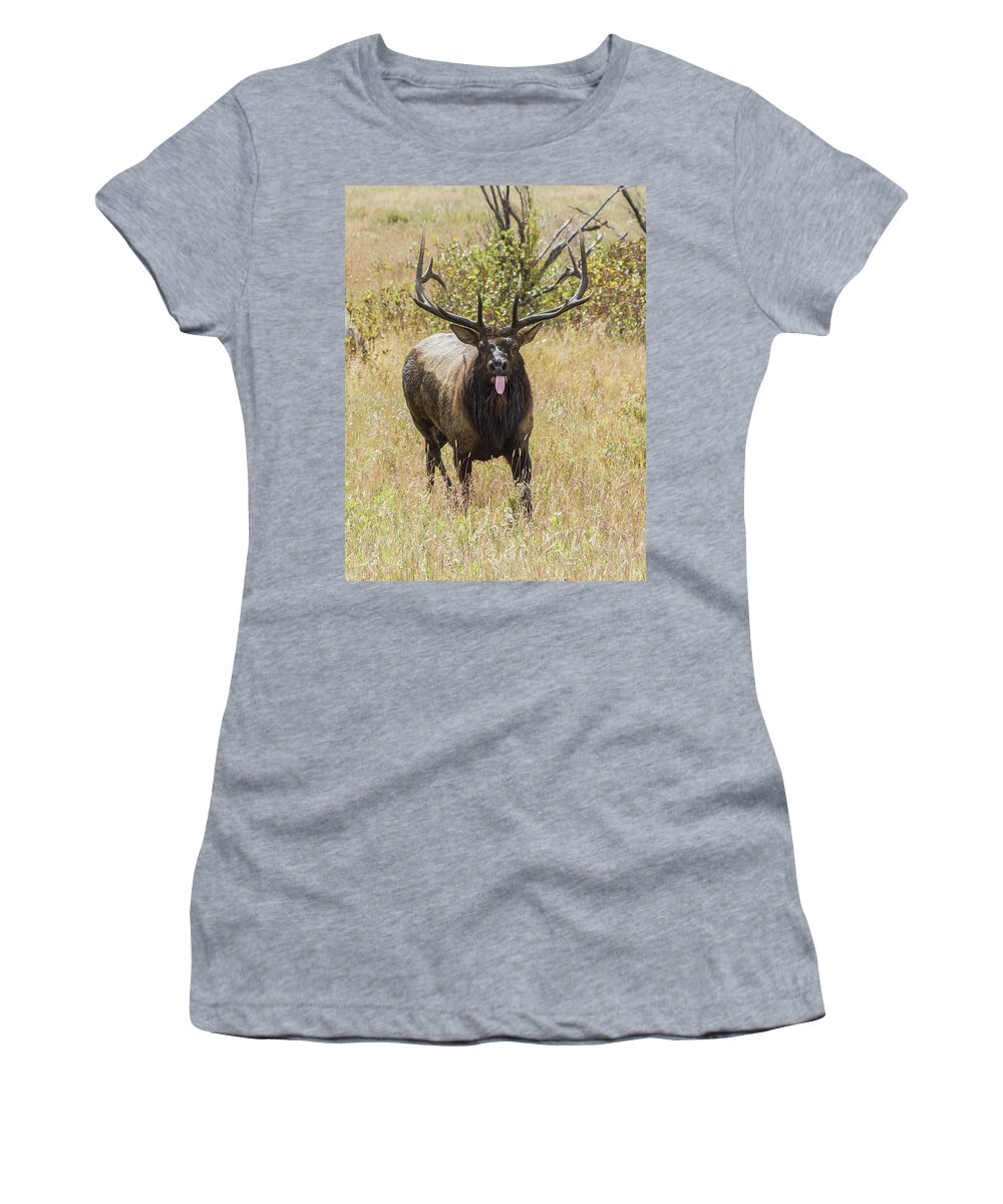 Tongue Women's T-Shirt featuring the photograph That Moment When by Shane Bechler