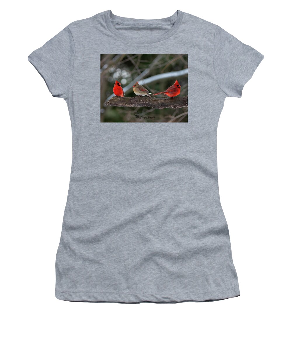 Cardinal Women's T-Shirt featuring the photograph The College of Cardinals by Regina Muscarella