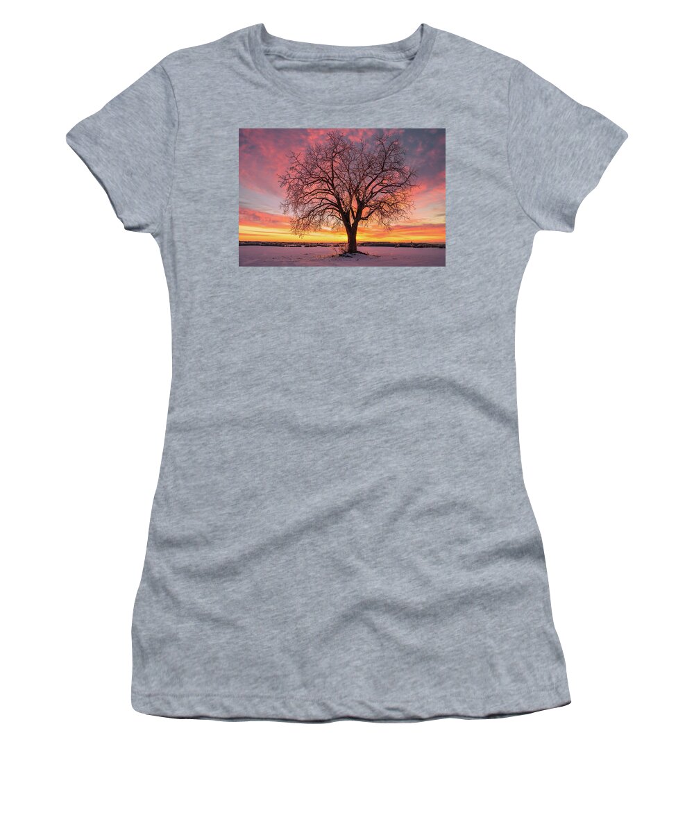 Ice Women's T-Shirt featuring the photograph The Crystal Tree by Henry w Liu