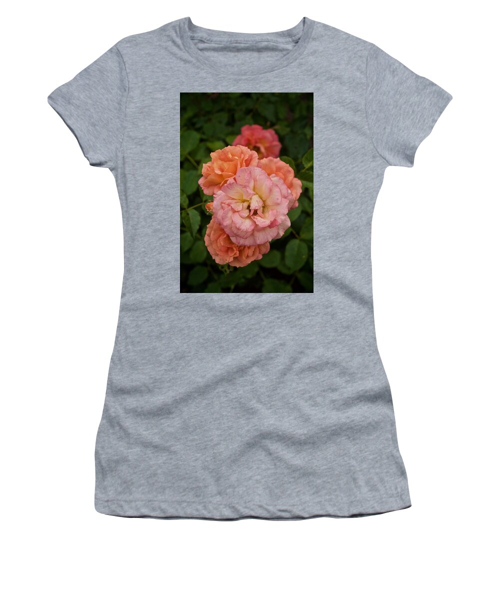 Roses Women's T-Shirt featuring the photograph The Five Roses Greeting Card by Richard Cummings