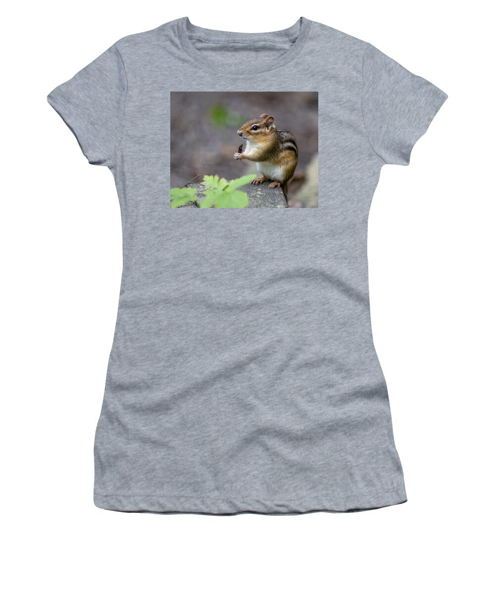 Chipmunk Women's T-Shirt featuring the photograph The Forest Cuisine by Regina Muscarella