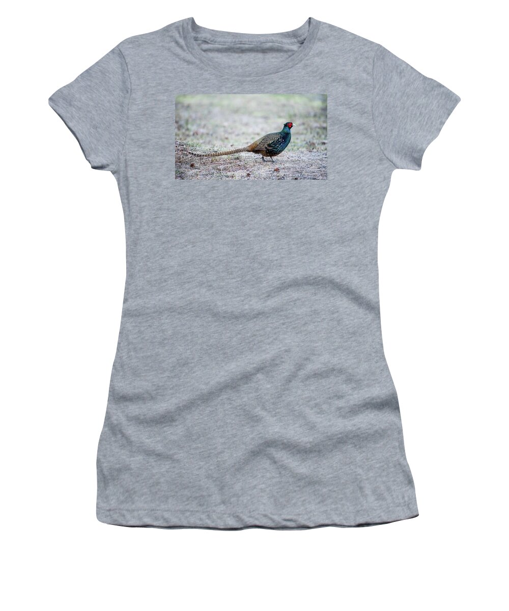 Phasianus Colchicus Colchicus Women's T-Shirt featuring the photograph The Pheasant Beauty by Torbjorn Swenelius