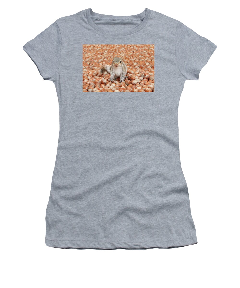 Young Grey Squirrel Women's T-Shirt featuring the photograph The sea of Nuts by Warren Photographic