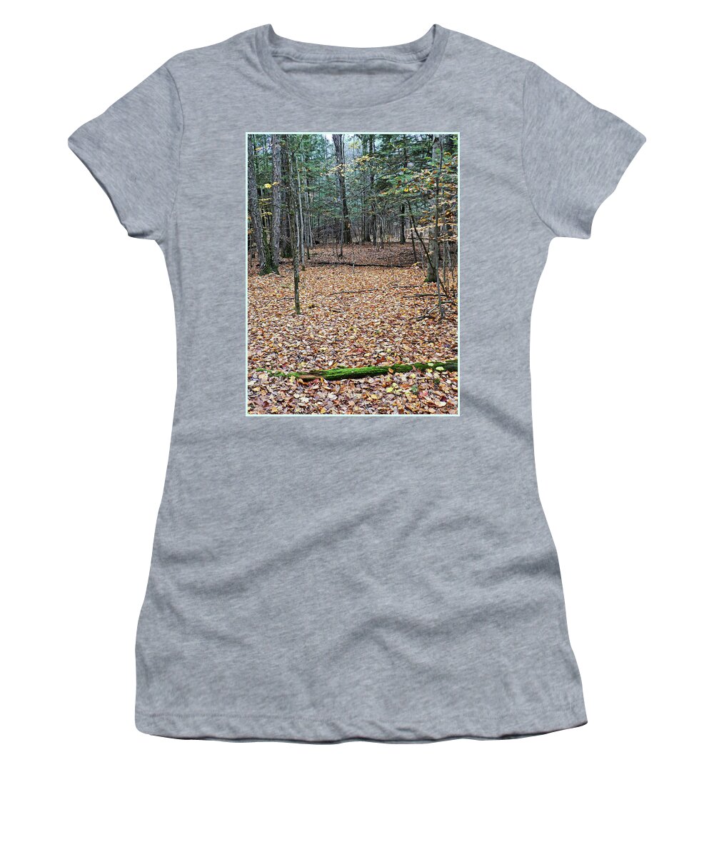 Autumn Women's T-Shirt featuring the photograph The Stage is Set by Lise Winne