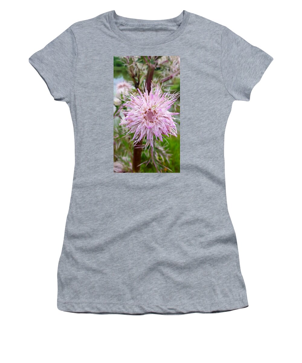 Secret Wildflower Women's T-Shirt featuring the photograph The Wildflower's Secret by Pamela Smale Williams