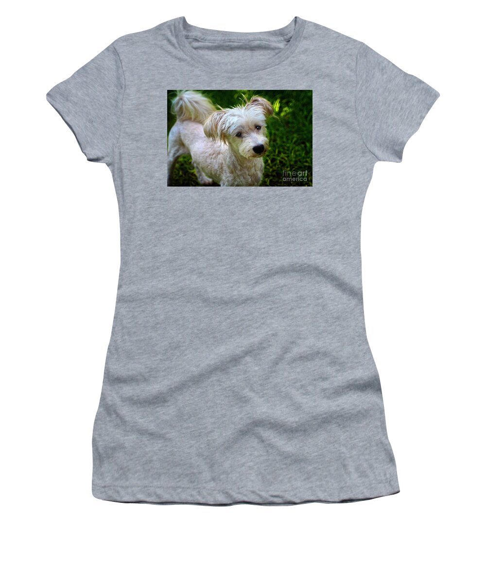 2085d Women's T-Shirt featuring the photograph This Is Our Little Fighter II by Al Bourassa
