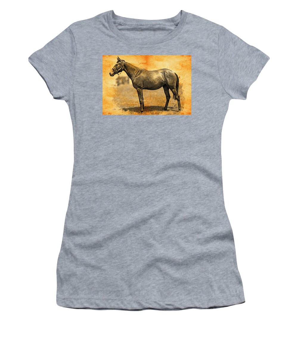 Thoroughbred Women's T-Shirt featuring the digital art Thoroughbred horse on a pasture, blended on old paper by Nicko Prints