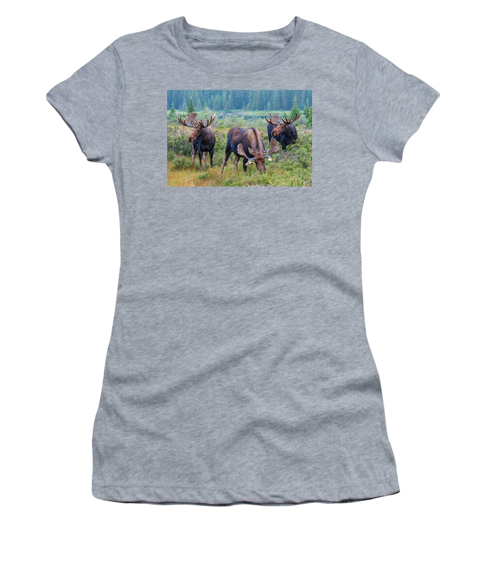 Moose Women's T-Shirt featuring the photograph Three Mooseketeers 2 by Darlene Bushue