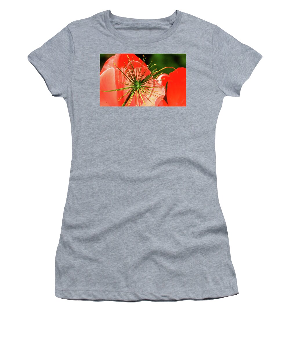 Flower Women's T-Shirt featuring the photograph Together by Windshield Photography