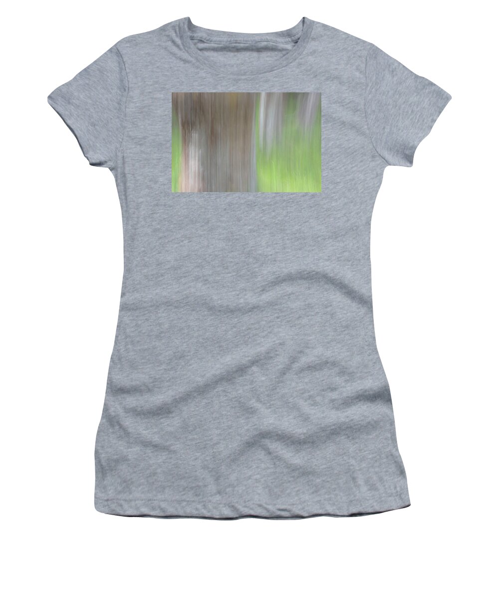 Tree Women's T-Shirt featuring the photograph Trees in the Forest by Kathy Paynter