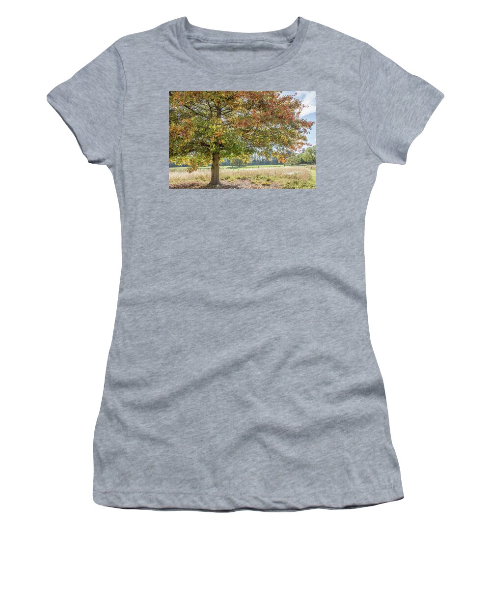 Trent Park Women's T-Shirt featuring the photograph Trent Park Trees Fall 18 by Edmund Peston