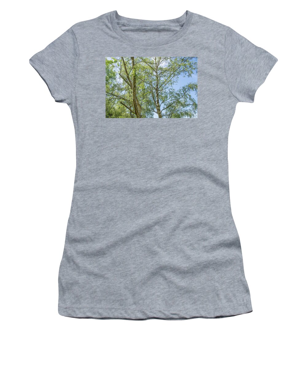 Trent Park Women's T-Shirt featuring the photograph Trent Park Trees Summer 3 by Edmund Peston