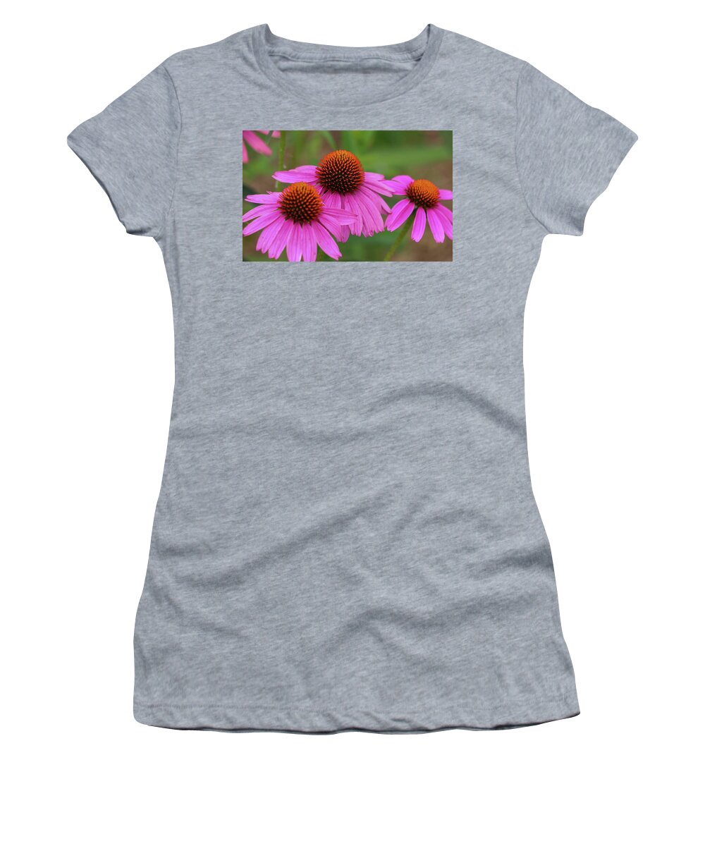 Coneflower Women's T-Shirt featuring the photograph Triple Threat by Mary Anne Delgado