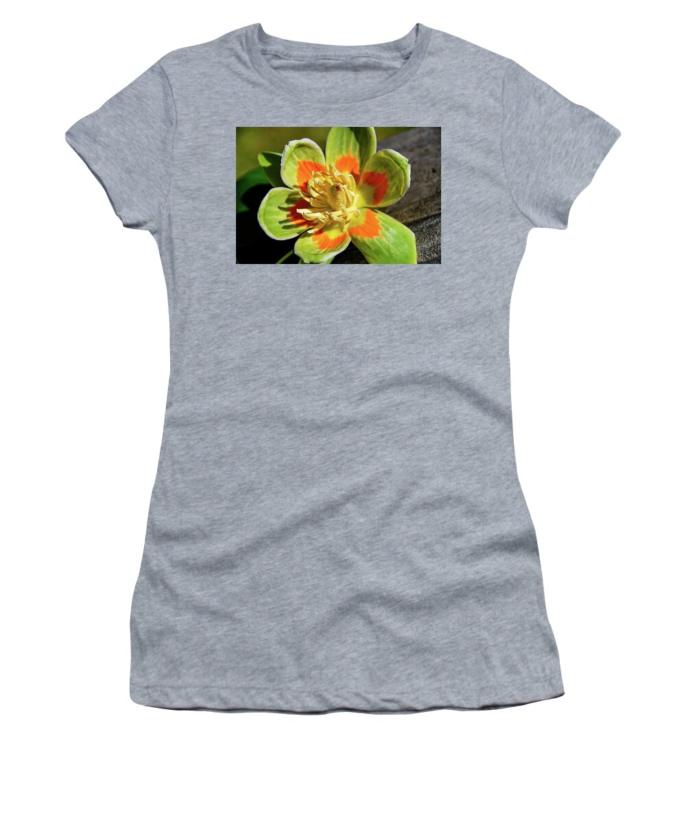 Flower Women's T-Shirt featuring the photograph Tulip Poplar Flower 2 by Linda Segerson