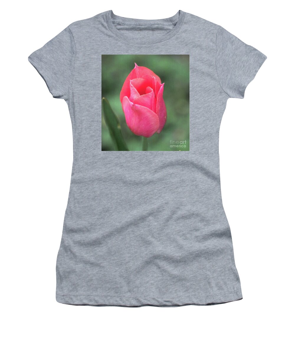 Tulip Women's T-Shirt featuring the photograph Tulip Portrait by Kimberly Blom-Roemer
