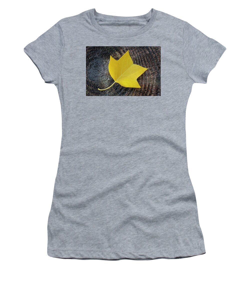 Fall Women's T-Shirt featuring the photograph Tulip Tree Leaf on Log in the Croatan National Forest by Bob Decker