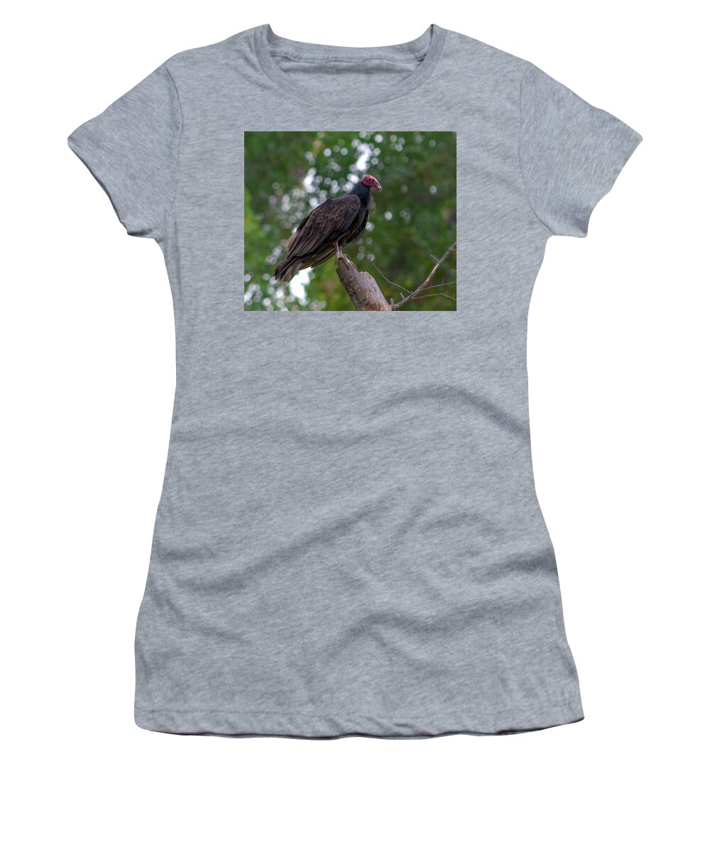Bird Women's T-Shirt featuring the photograph Turkey Vulture 5 by Alan C Wade