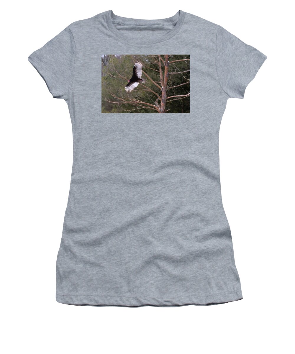 Turkey Women's T-Shirt featuring the photograph Turkey Vulture Soaring by Flinn Hackett