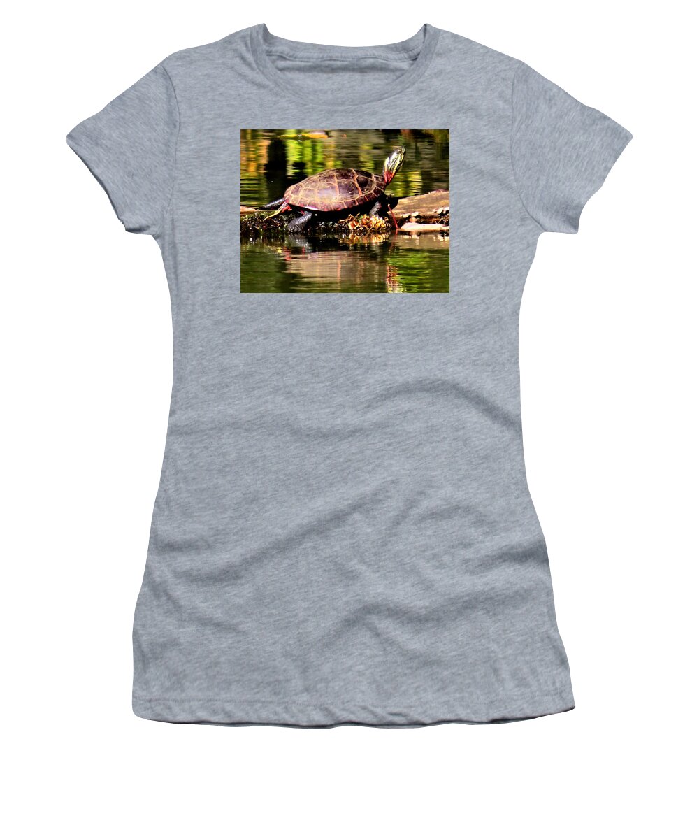 Turtles Women's T-Shirt featuring the photograph Turtle Sunning Itself in Autumn by Linda Stern