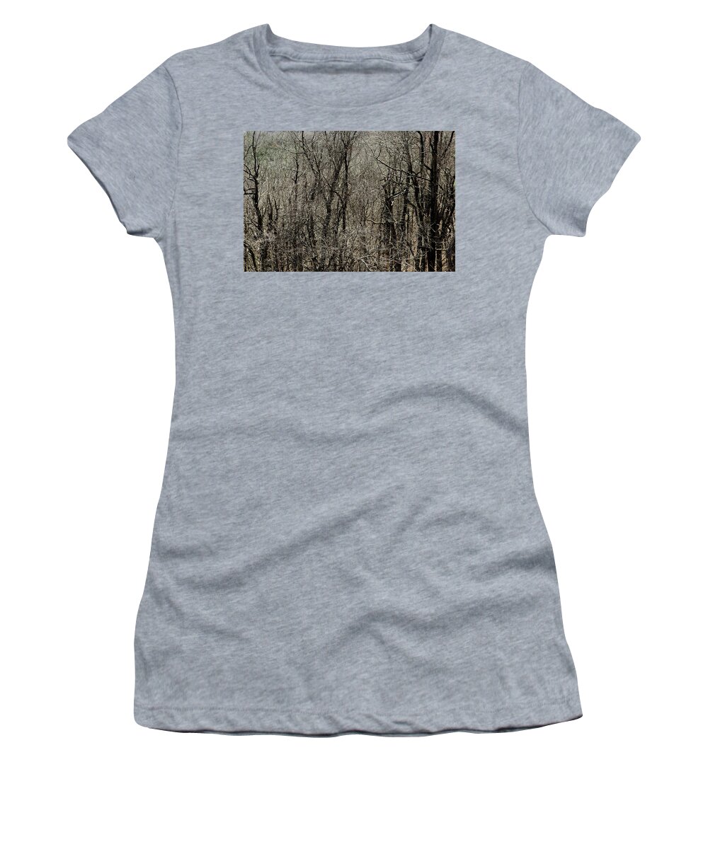 Mountains Women's T-Shirt featuring the photograph Twisted Forest Solitude by Ed Williams