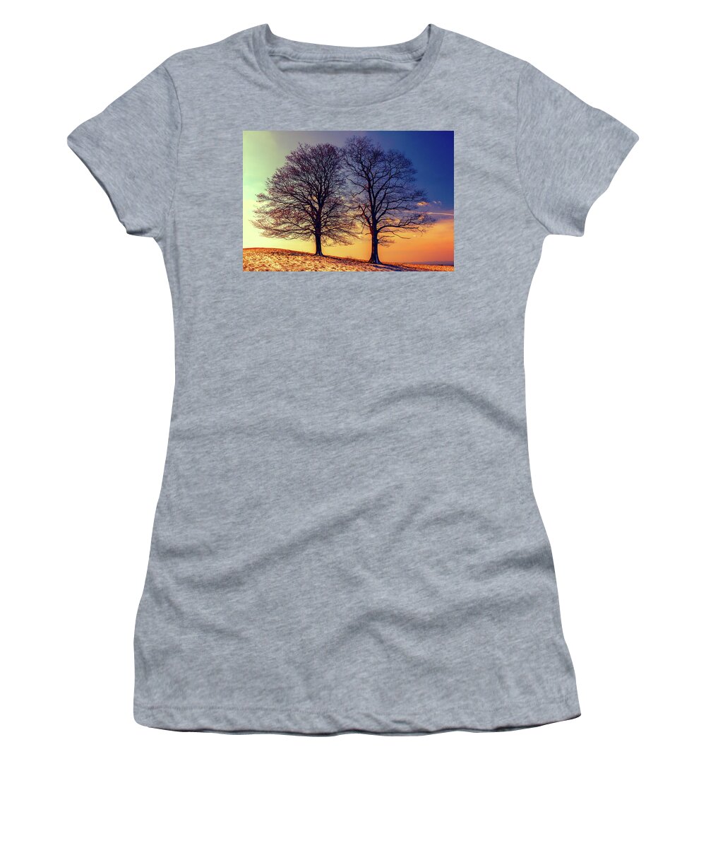 North Carolina Women's T-Shirt featuring the digital art Two Trees on the Parkway FX by Dan Carmichael