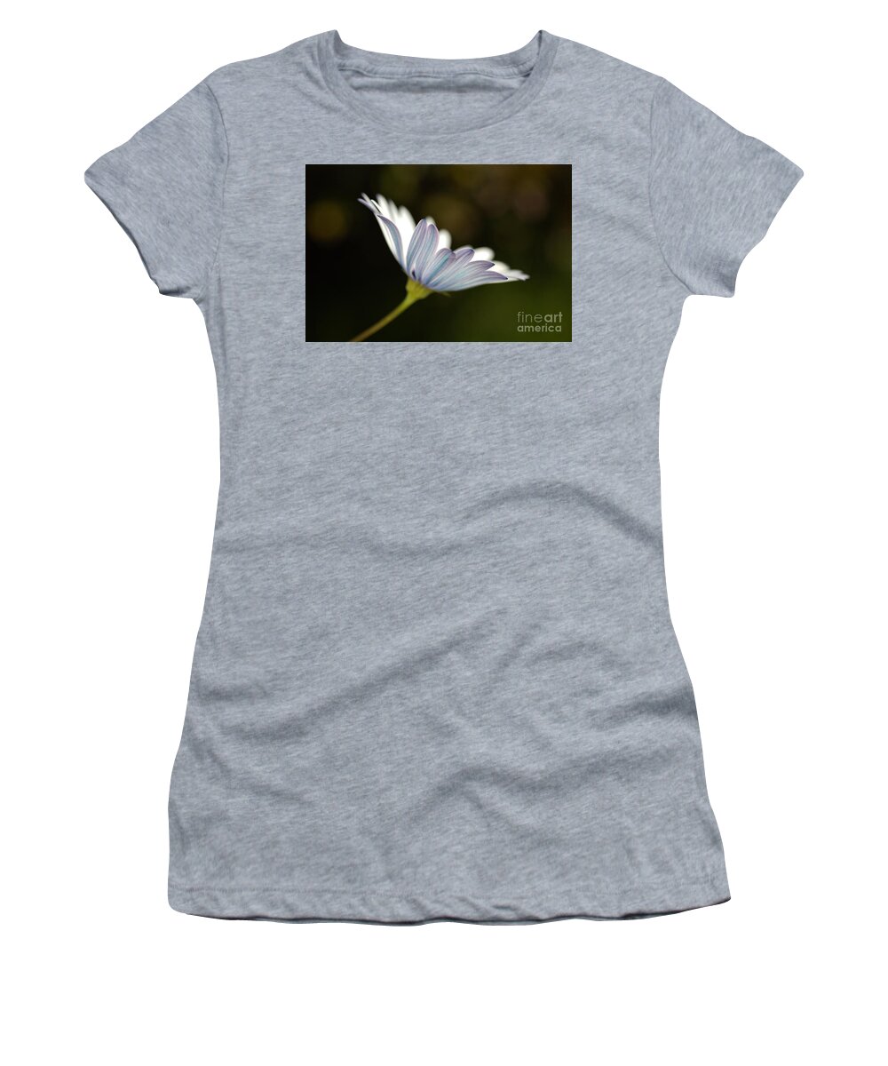 White Daisy Women's T-Shirt featuring the photograph Under A Winter Daisy by Joy Watson