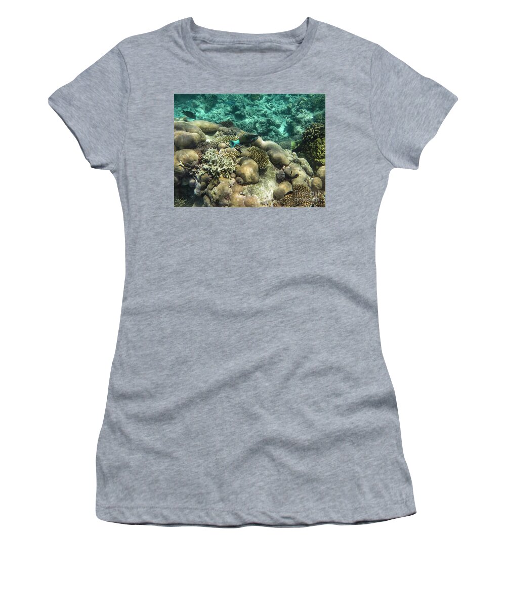 Great Barrier Reef Women's T-Shirt featuring the photograph Underwater Colors by Bob Phillips
