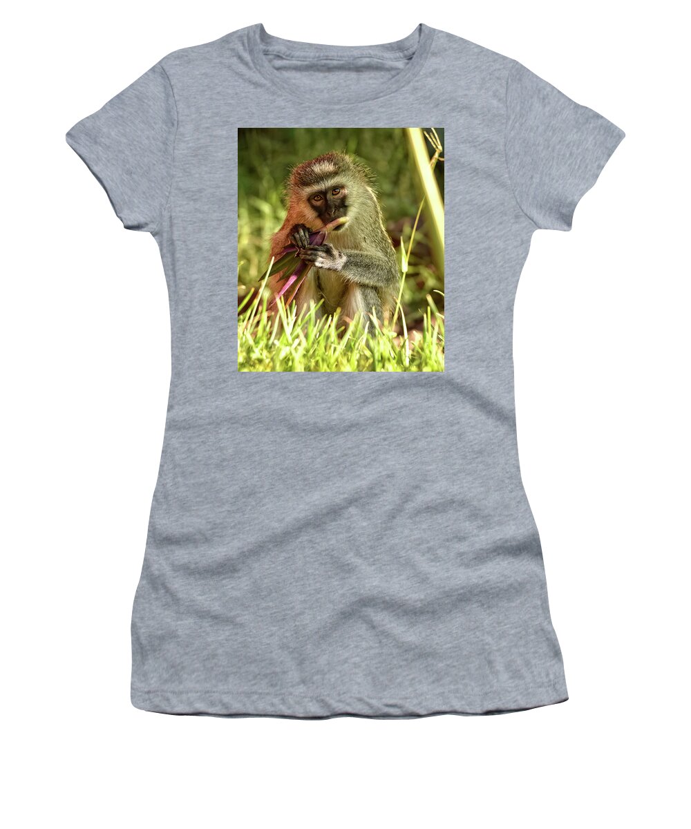 Africa Women's T-Shirt featuring the photograph Vervet Monkey in Kenya by Mitchell R Grosky