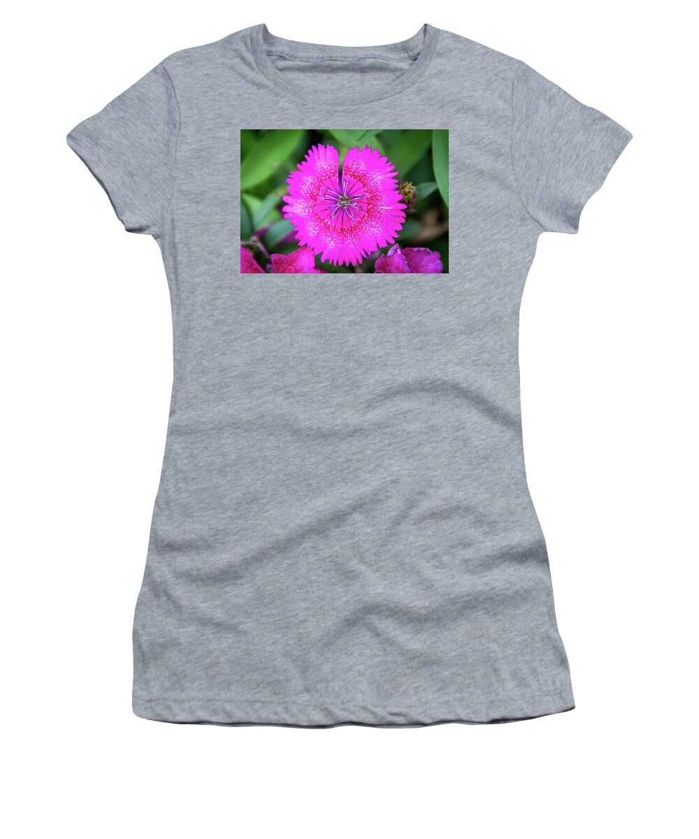 China Pink Women's T-Shirt featuring the photograph Vibrant Pink Dianthus by Debra Martz