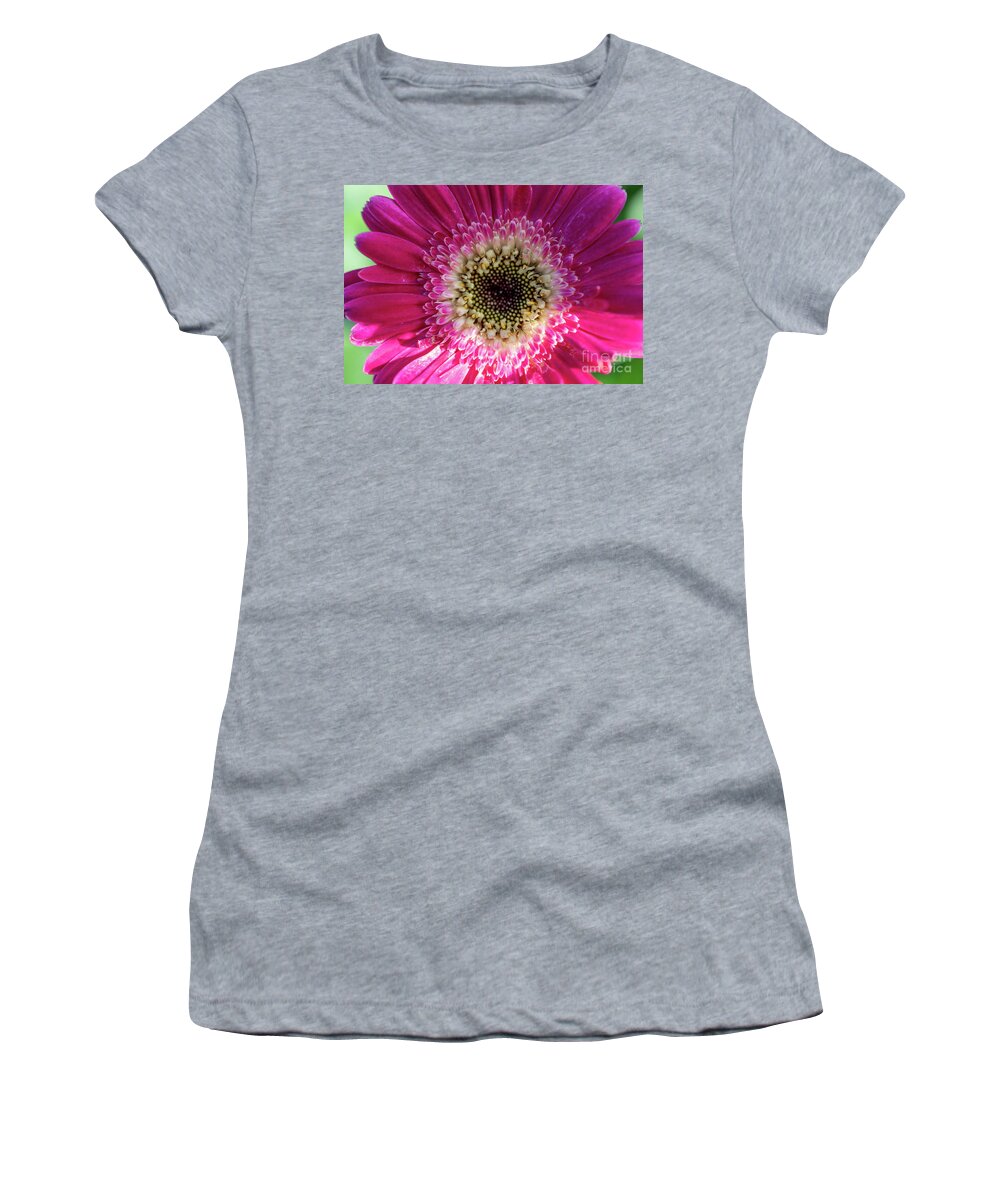 Pink Women's T-Shirt featuring the photograph Vibrant Pink Flower by Abigail Diane Photography