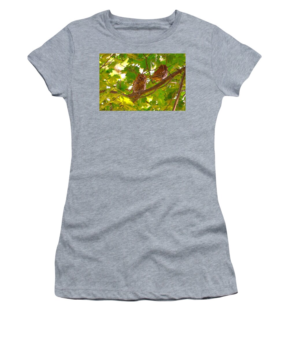 Eastern Screech Owls Women's T-Shirt featuring the photograph Visitors in my Backyard by Stacie Siemsen