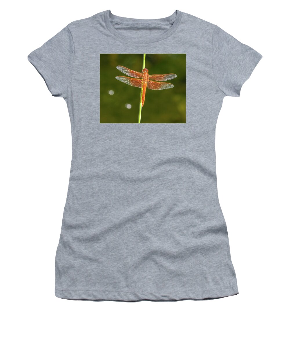 Color Women's T-Shirt featuring the photograph Waiting Red Dragon by Jean Noren