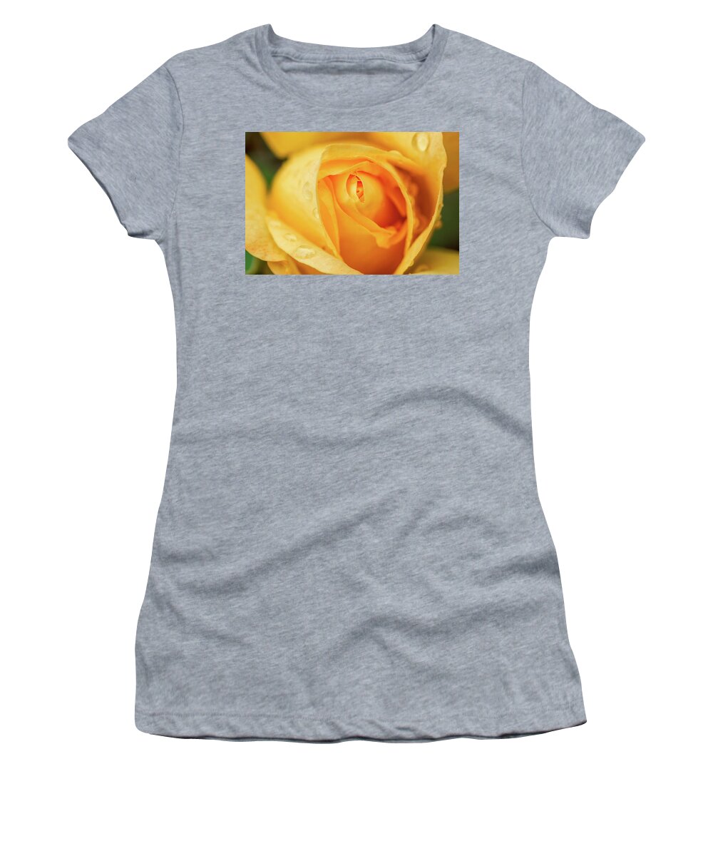 Rose Women's T-Shirt featuring the photograph Water drops on a yellow rose by Philippe Lejeanvre