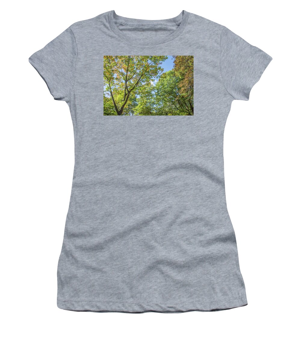 Waterlow Park Women's T-Shirt featuring the photograph Waterlow Park Trees Fall 3 by Edmund Peston