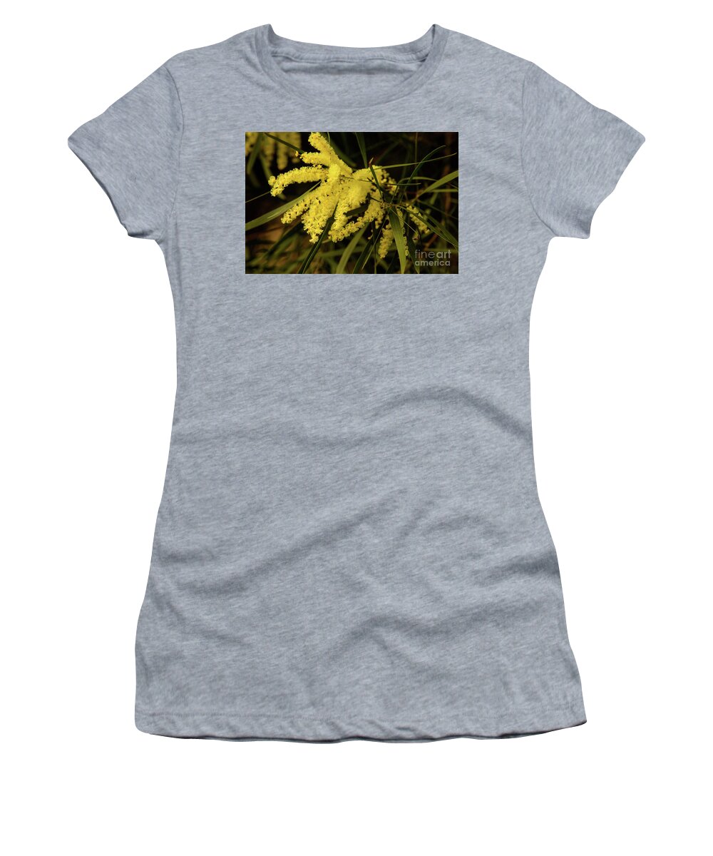 Flora;plant;flower;acacia;wattle;yellow;wildflower Women's T-Shirt featuring the photograph Wattle C02 by Werner Padarin