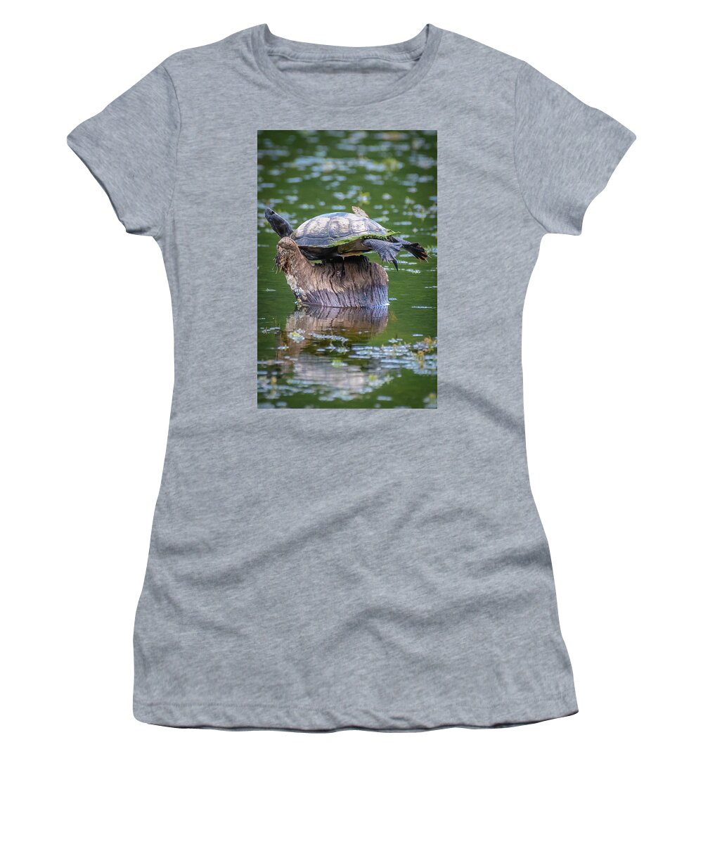 2018 Women's T-Shirt featuring the photograph Well Balanced by Erin K Images