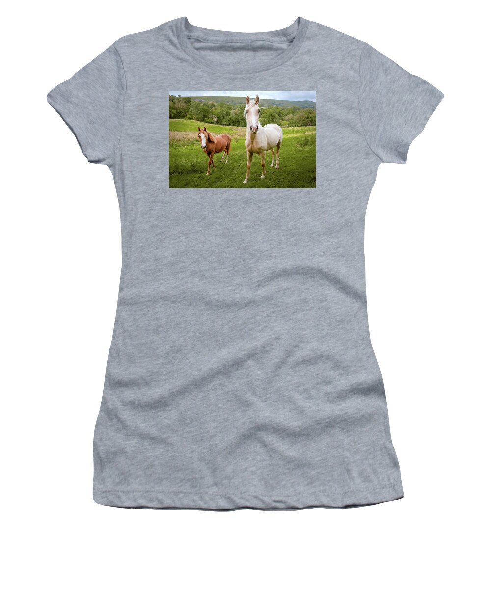 Pony Women's T-Shirt featuring the photograph Welsh Ponies by Richard Downs