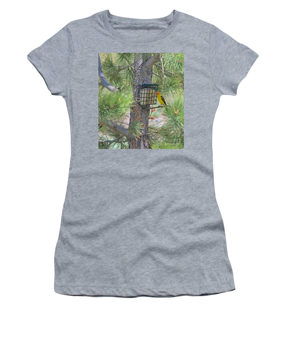 Tanager Women's T-Shirt featuring the photograph Western Tanager Feeding by Kae Cheatham