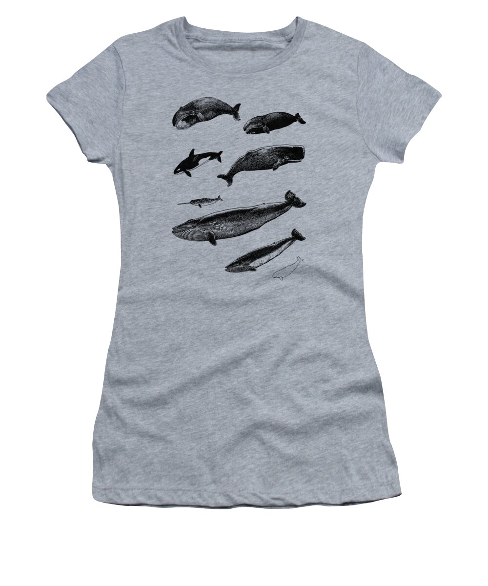 Whale Women's T-Shirt featuring the digital art Whale Chart by Madame Memento