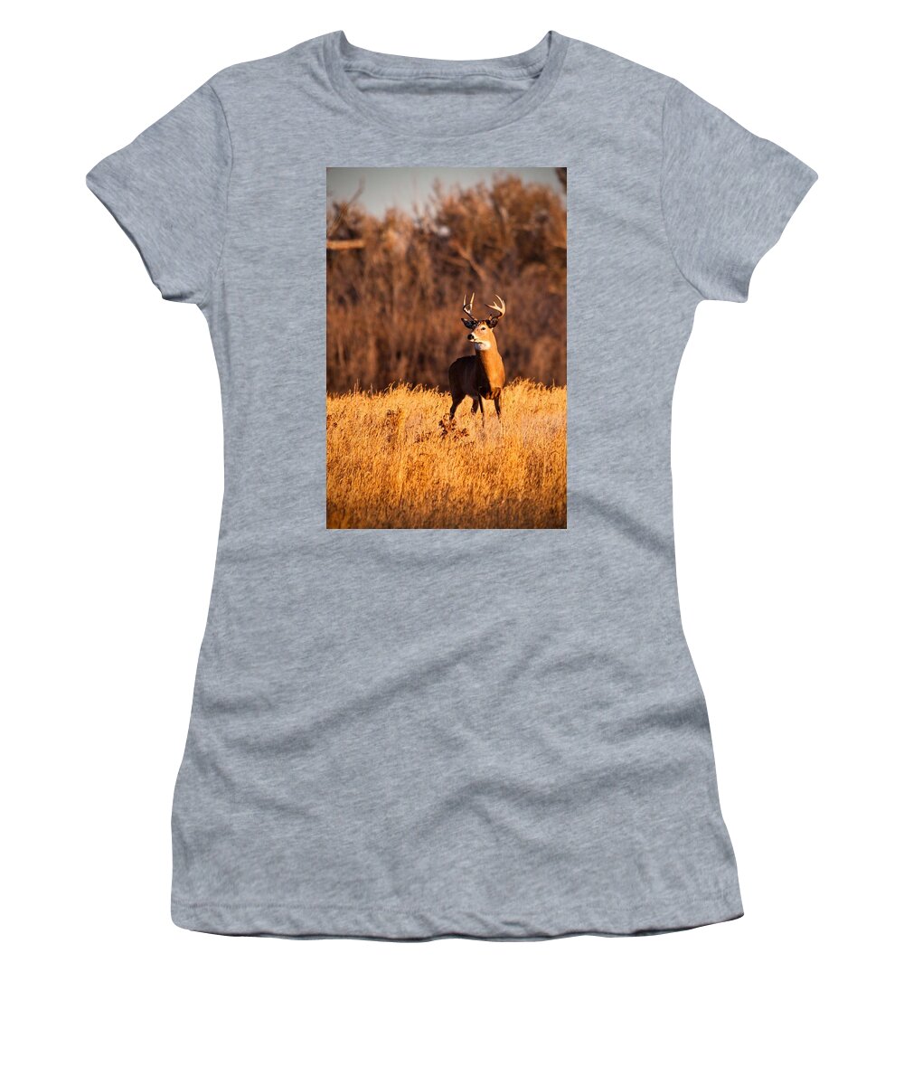 Colorado Women's T-Shirt featuring the photograph What the buck by Edgar Estrada